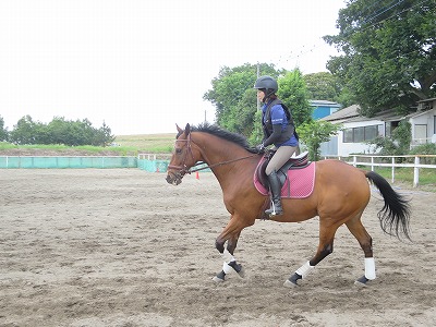 自分らしく楽しい乗馬