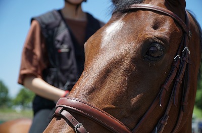 価値観と常識の違いが馬の違いを生む