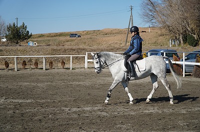 軽いタッチで馬とのコミュニケーションを楽しむ