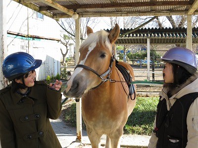 体験乗馬受付中！