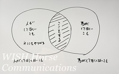 乗馬　コミュニケーション