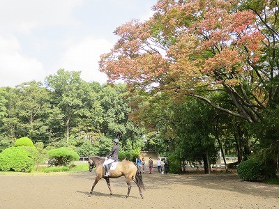 馬のためは自分のため
