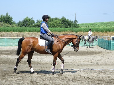 乗馬上達の秘密