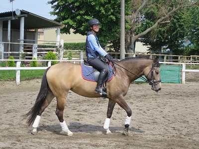 馬とパートナーに