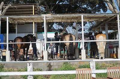 乗馬で当たり前なことをいかに当たり前にやるか