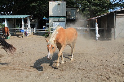馬達みんな元気です。