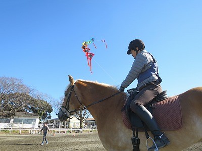 ナチュラルホースマンシップで馬と遊ぼう！