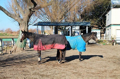 あけましておめでとうございます(^^)