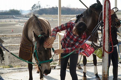 馬を喜ばせる乗馬