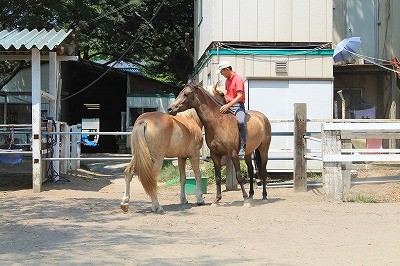 馬との信頼関係