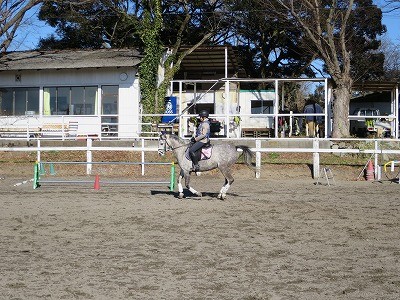 真面目に乗馬がしたい