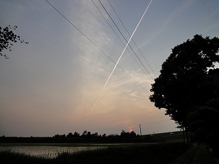 乗馬クラブの夕焼けと飛行機雲