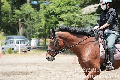 乗馬のリーダーとは