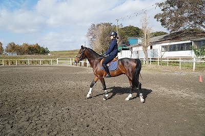 馬も人も楽しく練習