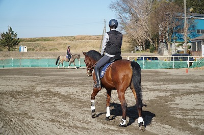 馬を蹴ったり叩いたりしても、虐待は上達しても乗馬は上達しない