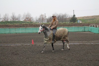 馬と遊ぼう