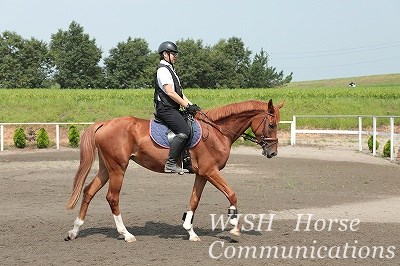 乗馬は馬もリラックス