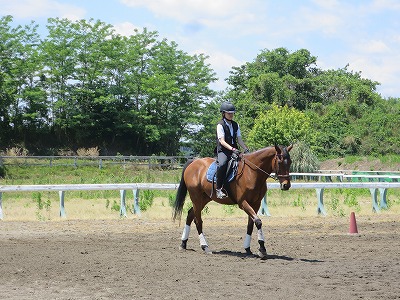 馬と楽しい乗馬体験