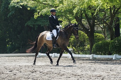 馬術競技会