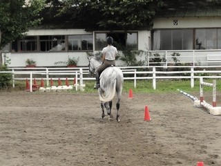 馬場馬術運動もしっかり指導します
