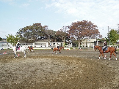 乗馬は馬がパートナー