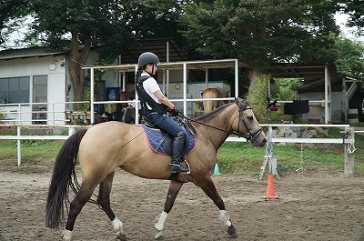 馬と見つめ合ているときの感覚