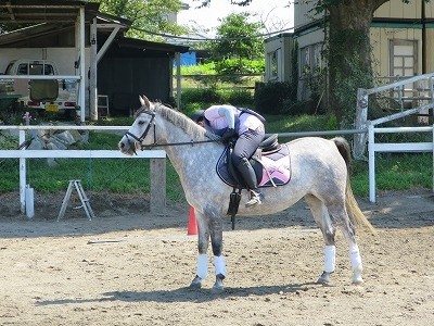 乗馬が上手くなりたい！