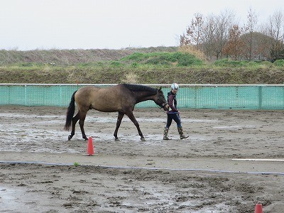 パートナーと仲良く練習