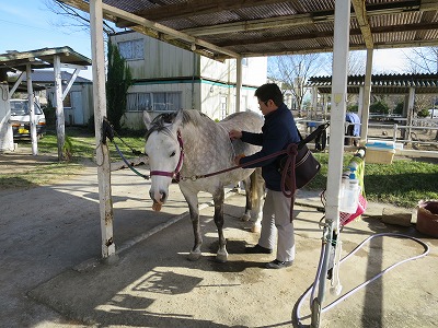 馬の登録