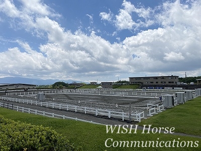 晴れの御殿場馬術競技場