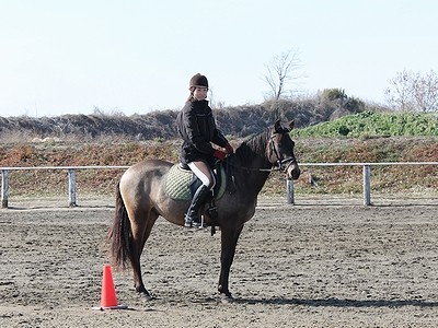 簡単な扶助と簡単な法則でいろんなことしよう