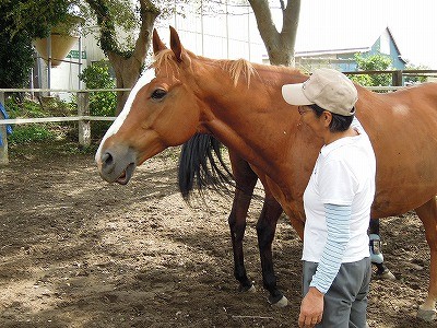 馬と仲良し上手