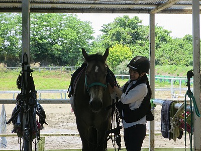 乗馬に本気