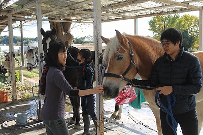 馬に差し伸べる優しい手