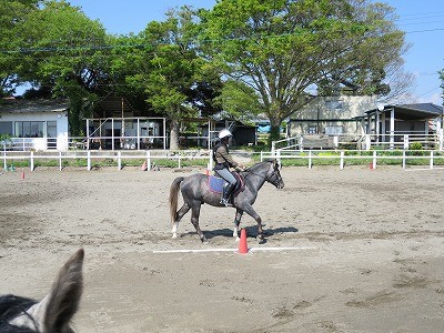 みんな良い馬達です。