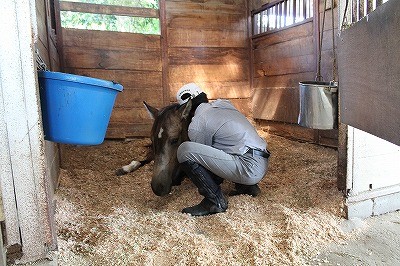 愛しいで始まる乗馬