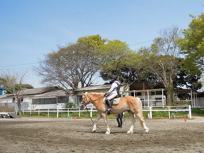 乗馬は楽しいね！