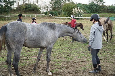 馬への愛情の伝え方講習会