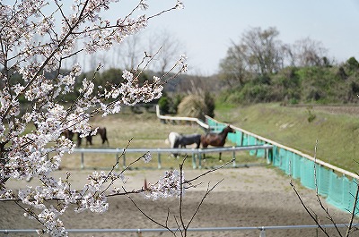 個性を活かして一致団結できる場所