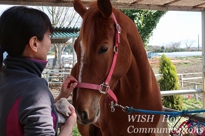 馬の話が伝わる乗馬