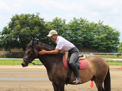 愛情乗馬