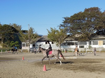 文化の日だから乗馬