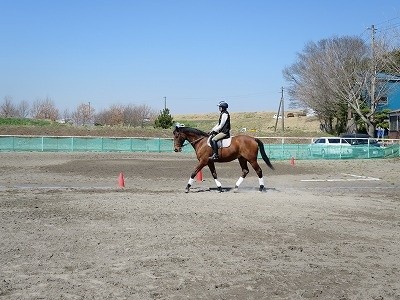 リラックスして馬とコミュニケーションを