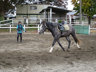 愛馬と共に