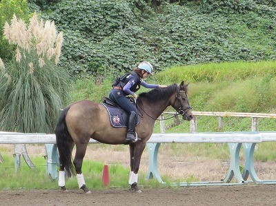 ウィッシュの乗馬と馬の表情