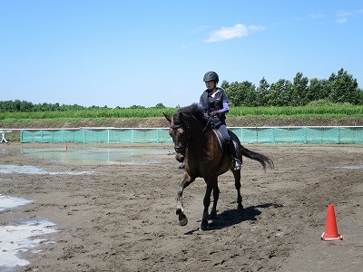 馬とコミュニケーション