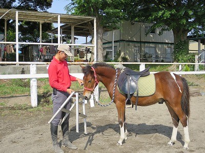 新馬調教　馬が納得していること