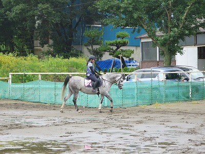 乗馬イメージトレーニング