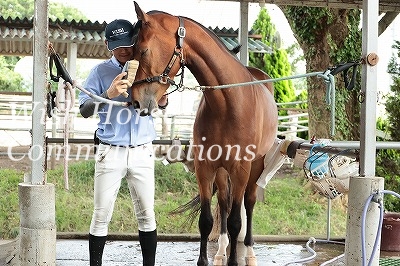 馬に優しい乗馬クラブ