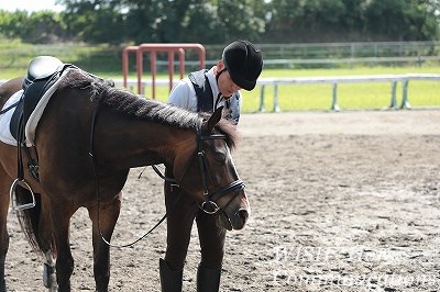 馬が甘える乗馬